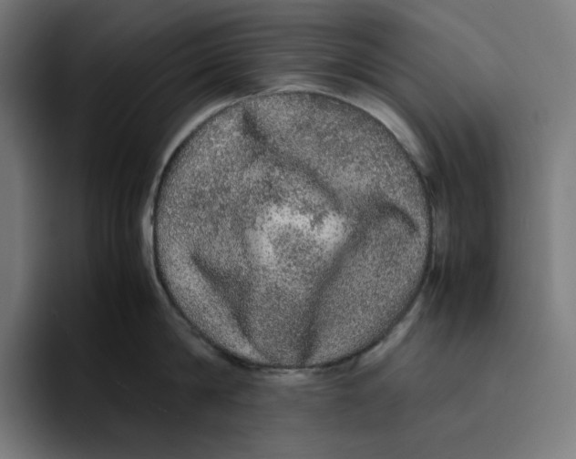 X0000094820814200712071244