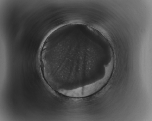 X0000094820816200712071244