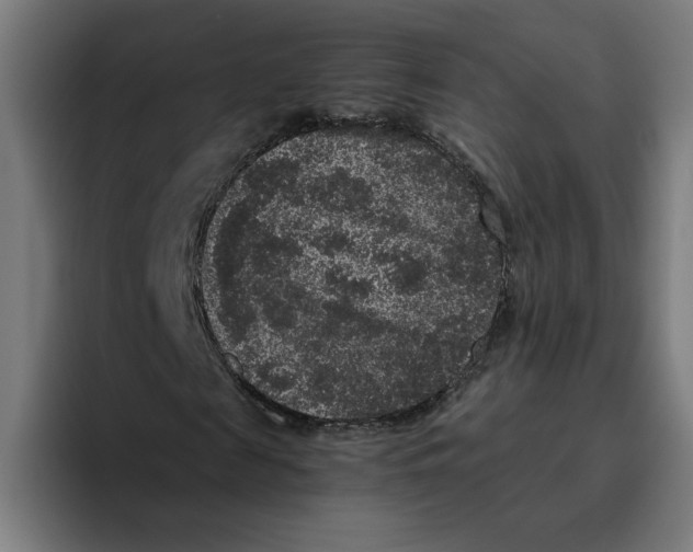 X0000094820817200712071244