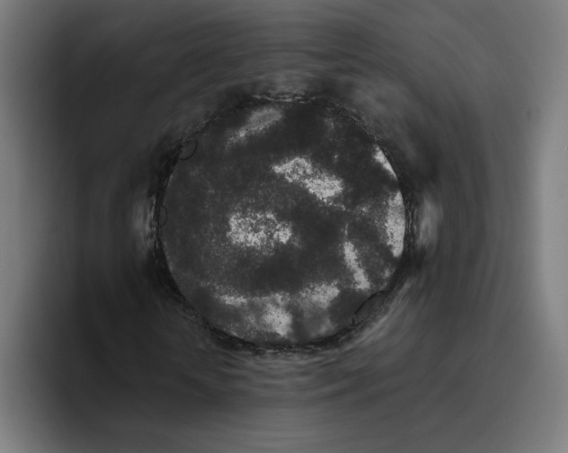 X0000094820818200712071244