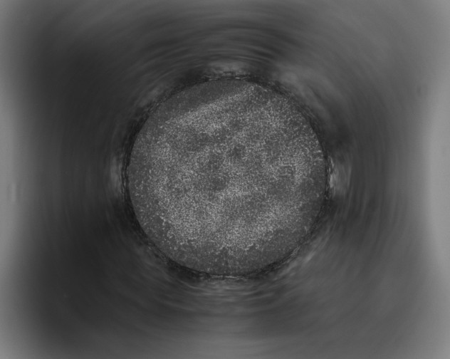 X0000094820819200712071244