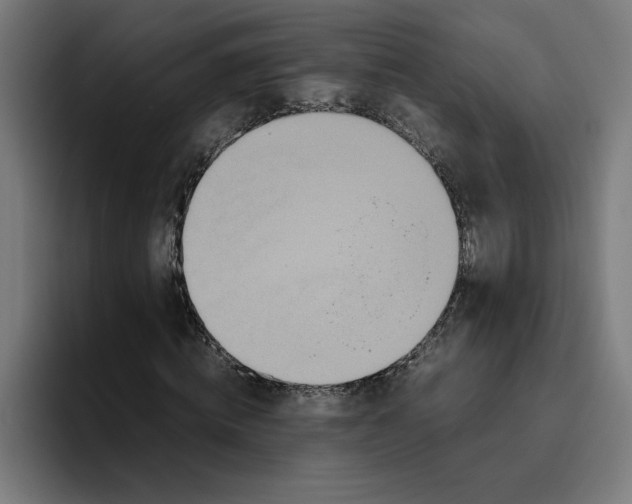 X0000094820820200712071244