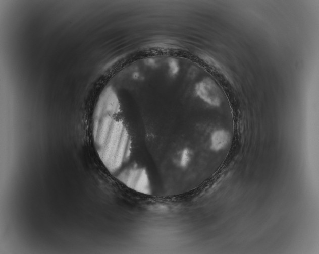 X0000094820822200712071244