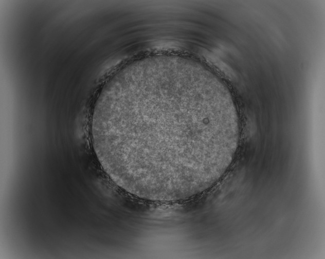 X0000094820824200712071244