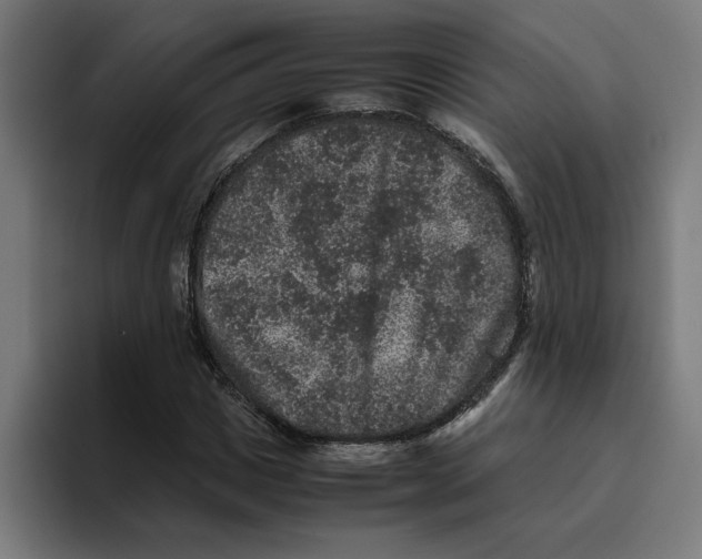 X0000094820825200712071244