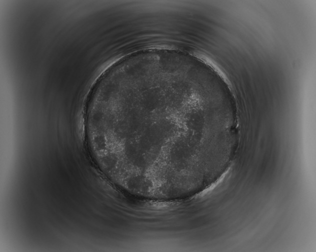 X0000094820829200712071244