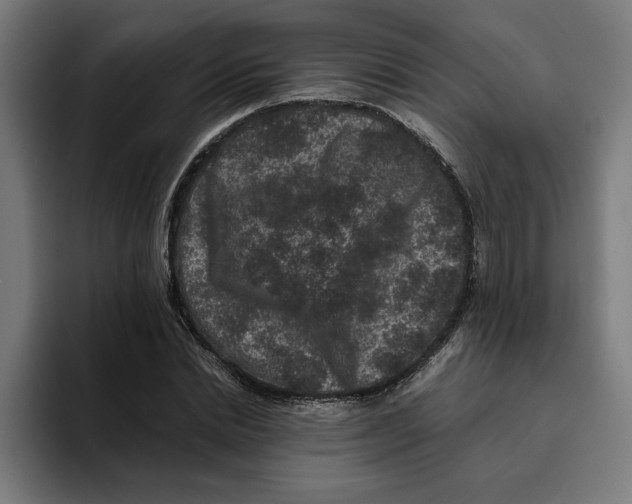 X0000094820830200712071244