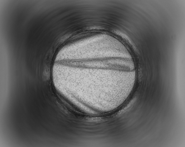 X0000094820833200712071244