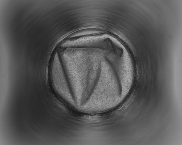 X0000094820834200712071244