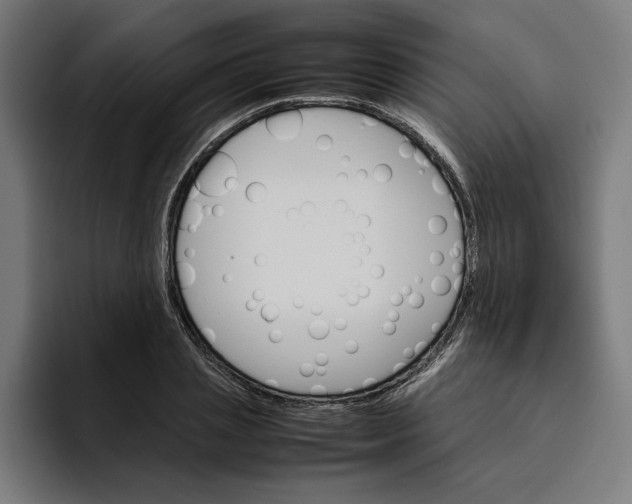 X0000094820837200712071244