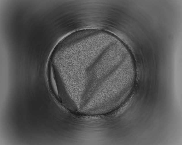 X0000094820838200712071244