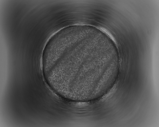 X0000094820839200712071244