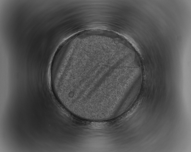 X0000094820840200712071244