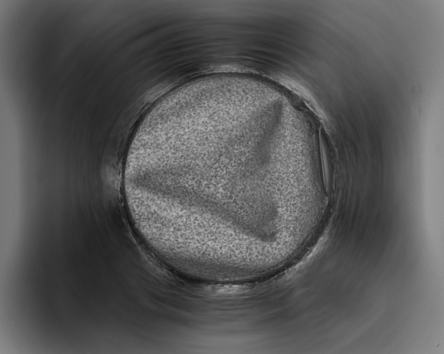 X0000094820841200712071244