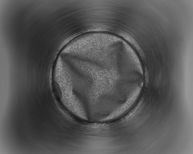 X0000094820842200712071244