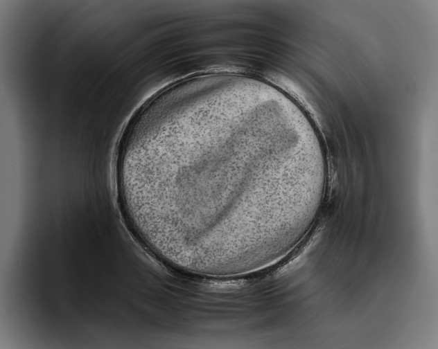 X0000094820843200712071244