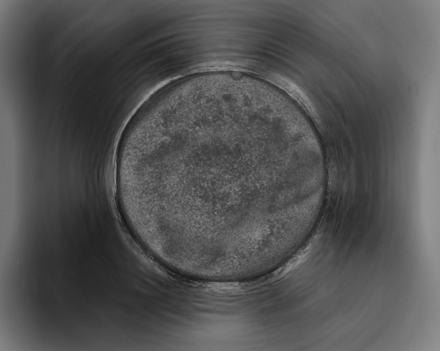 X0000094820844200712071244