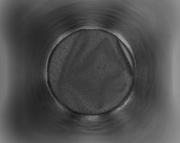 X0000094820845200712071244