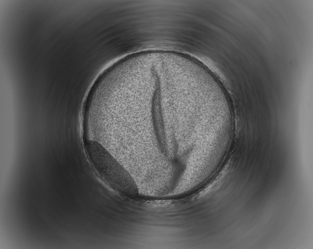 X0000094820846200712071244