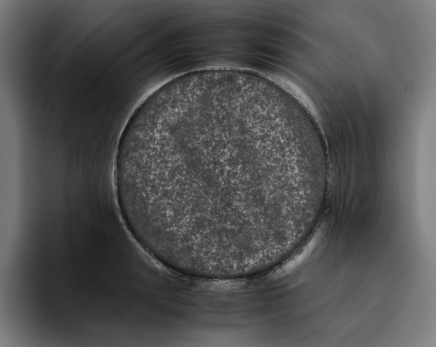 X0000094820847200712071244