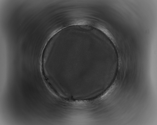 X0000094820850200712071244