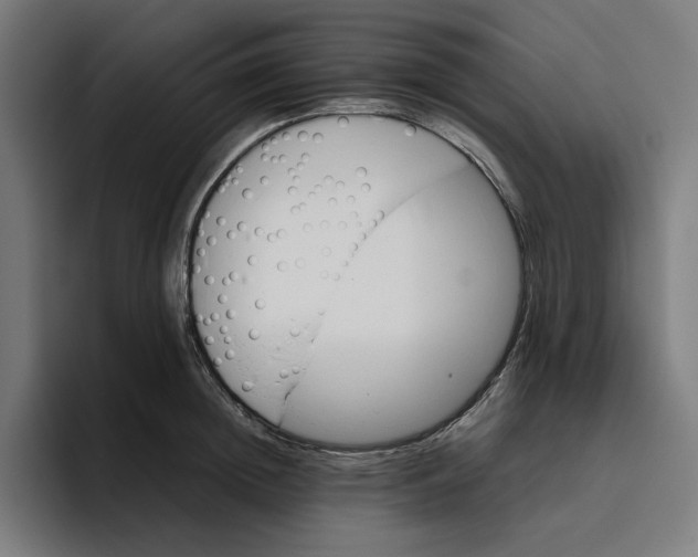 X0000094820852200712071244