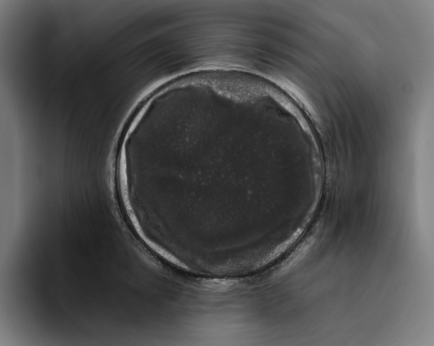 X0000094820854200712071244