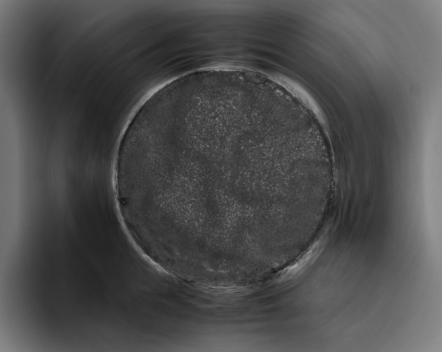 X0000094820855200712071244