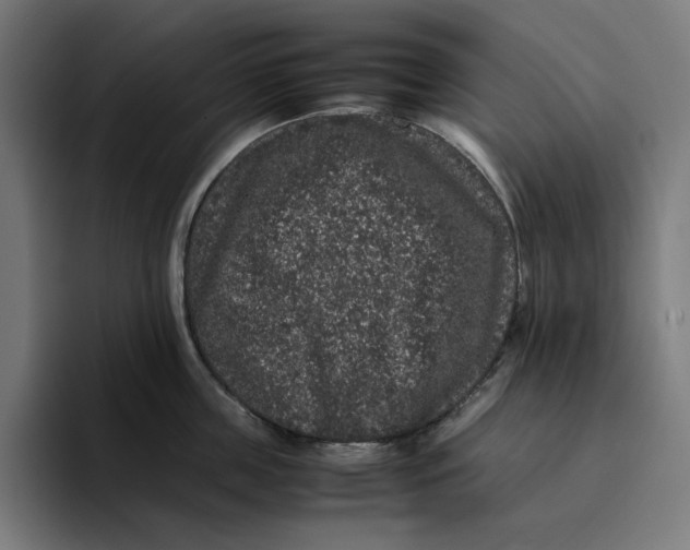 X0000094820859200712071244