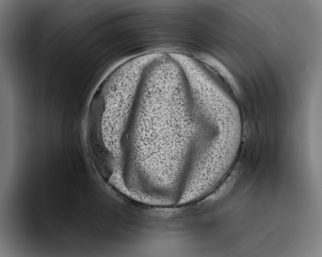 X0000094820860200712071244