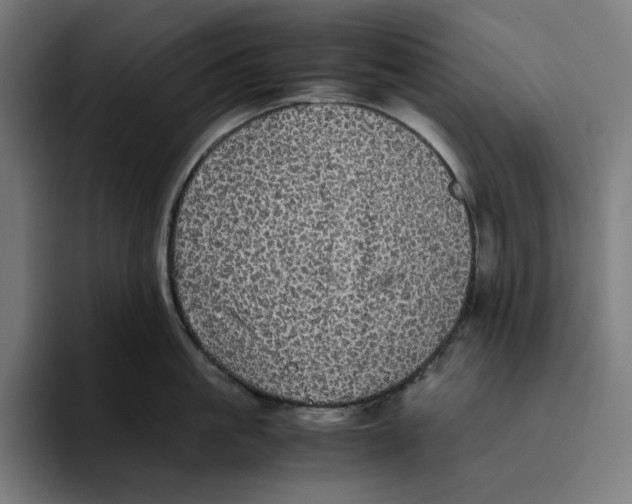 X0000094820861200712071244