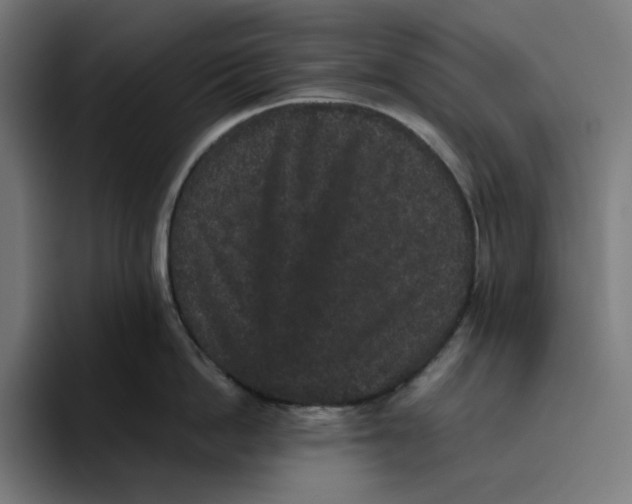 X0000094820862200712071244