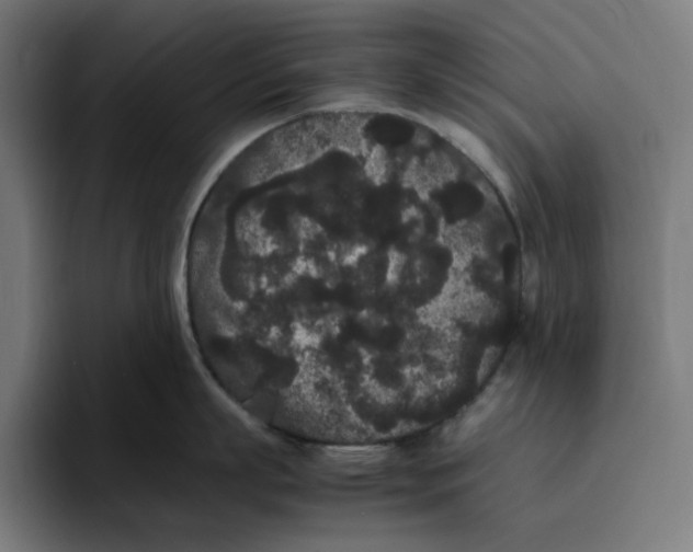 X0000094820863200712071244