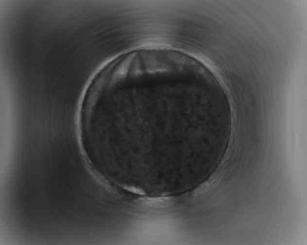 X0000094820864200712071244