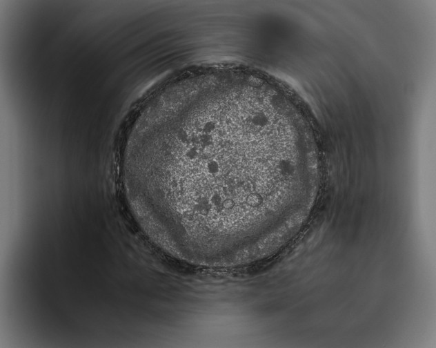 X0000094820871200712071244