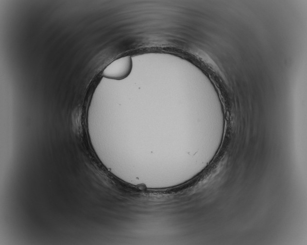 X0000094820873200712071244