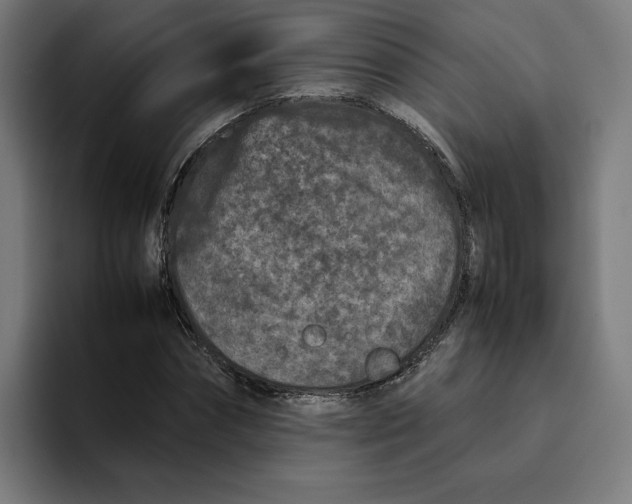 X0000094820874200712071244