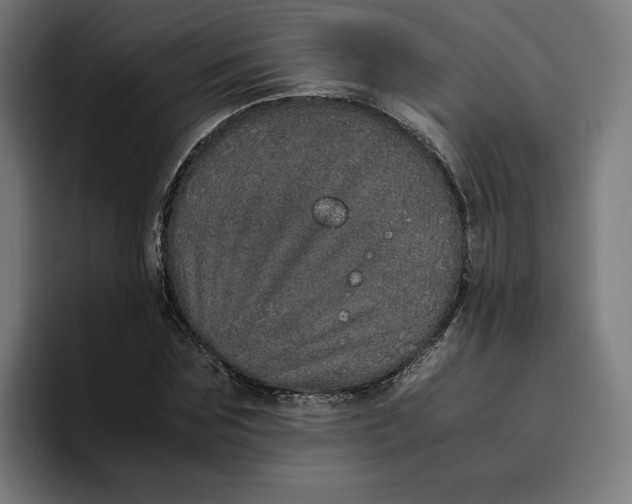 X0000094820875200712071244