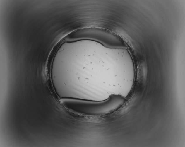 X0000094820876200712071244