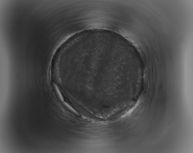 X0000094820877200712071244