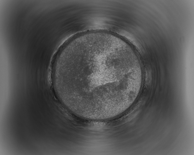 X0000094820878200712071244