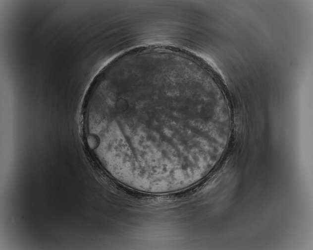 X0000094820879200712071244