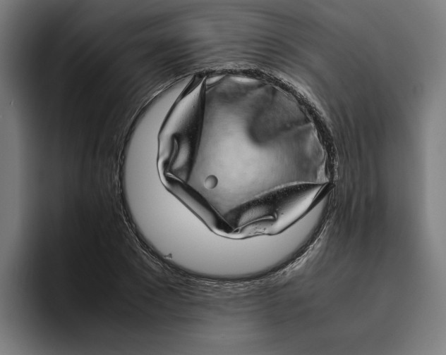 X0000094820881200712071243