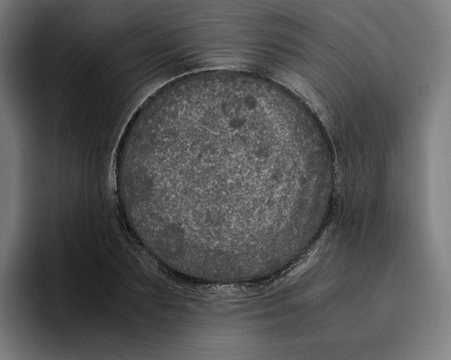 X0000094820883200712071243