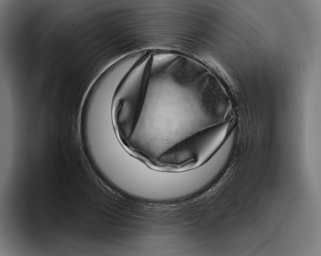 X0000094820884200712071243