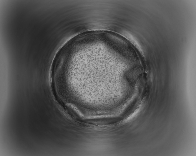 X0000094820885200712071243