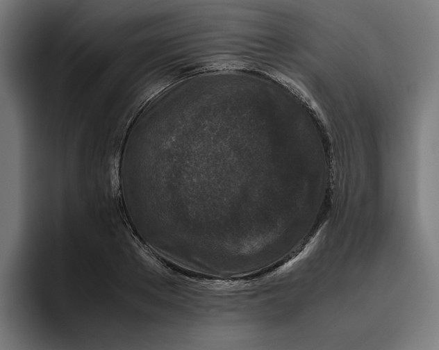 X0000094820889200712071243