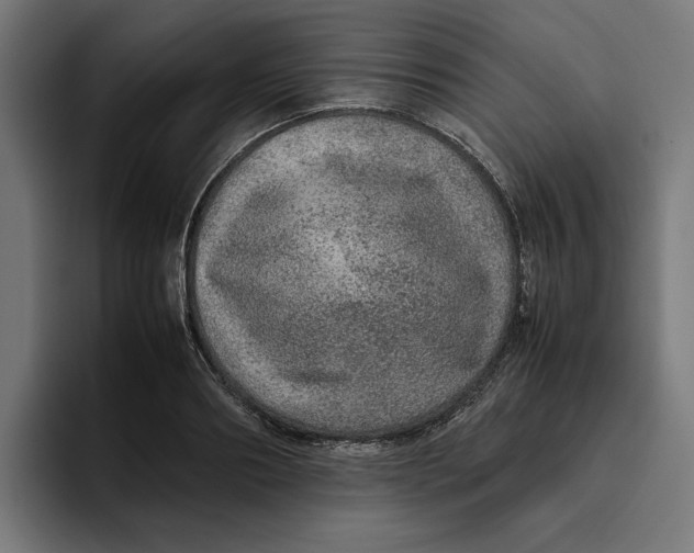 X0000094820890200712071243