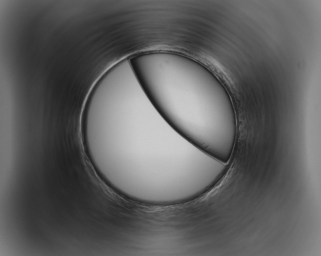 X0000094820892200712071243