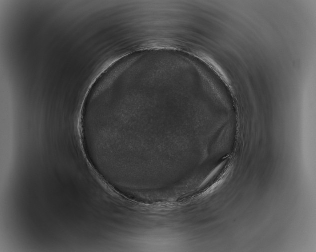 X0000094820893200712071243